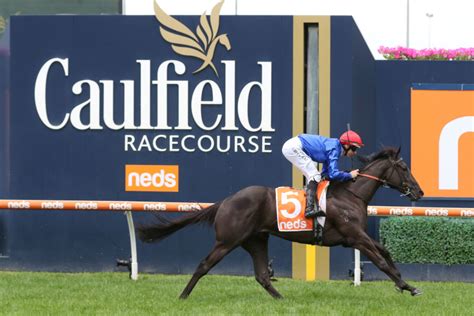 2022 Blue Diamond Stakes attracts 1594 nominations .